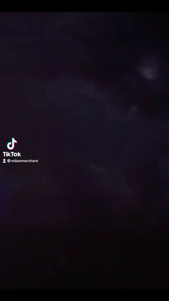 export_1665639658782.mov