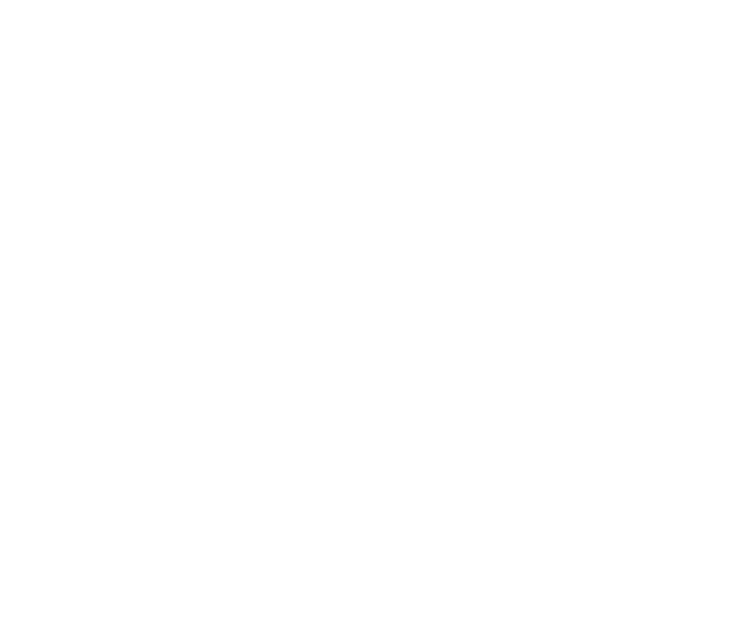 FYI- secondary logo.png