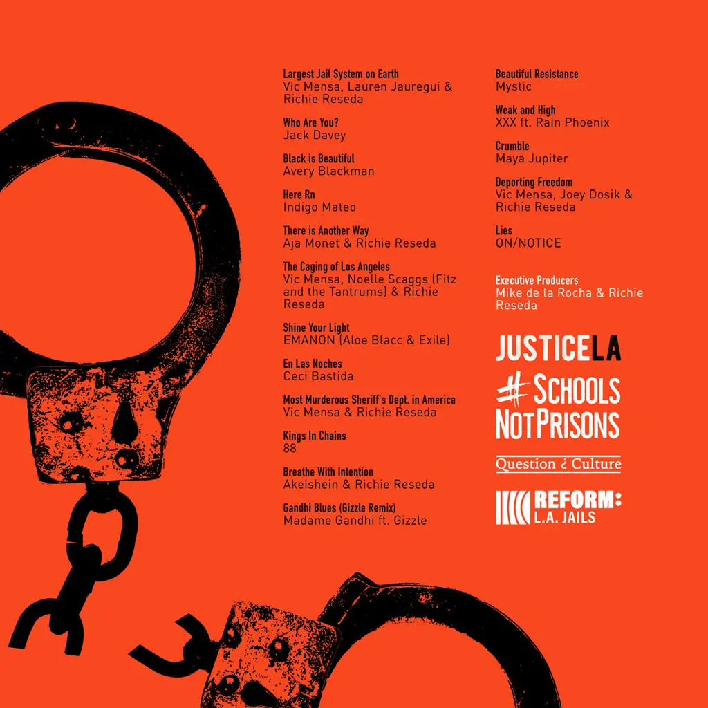 back-cover Defund Sheriff.jpeg